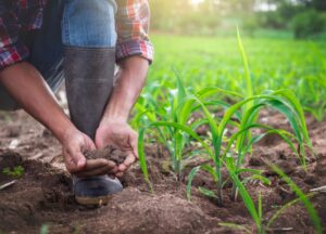 Farmers engaging in eco-friendly practices, such as composting or using renewable energy.