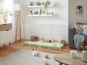 A fluffy rabbit in a cozy indoor setup.